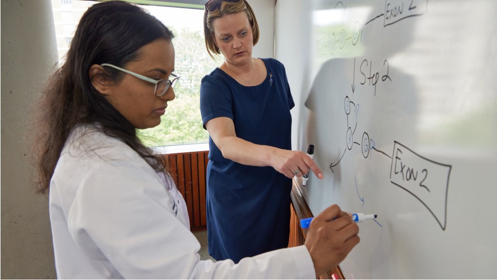 Female Montefiore Einstein Cancer Center professionals working together on whiteboard