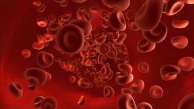 A rendering of red blood cells moving through a vein.