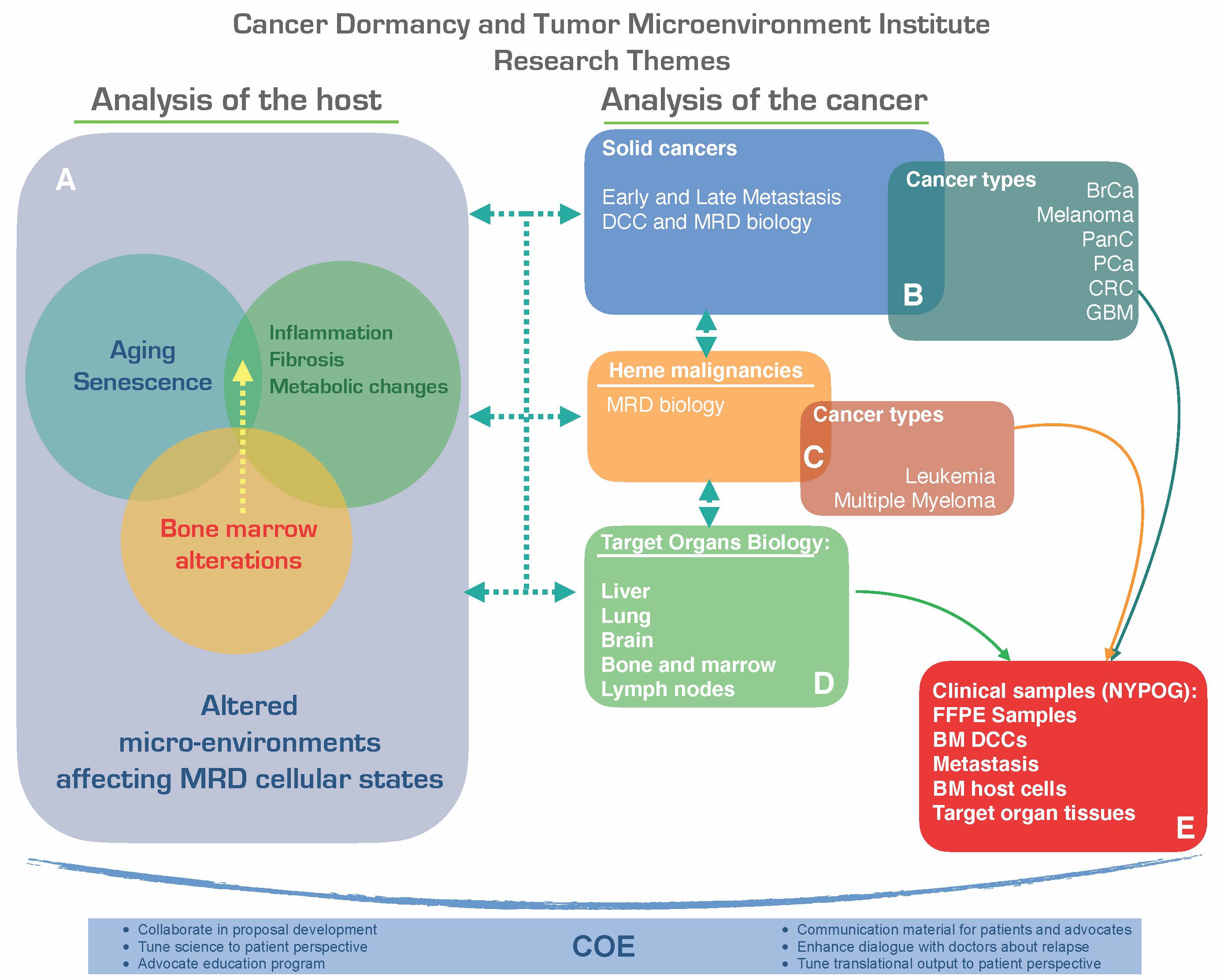CDTMI Research Themes - a flowchart detailing the CDTMI's approach to analysis of cancer and the host to study cancer dormancy and relapse