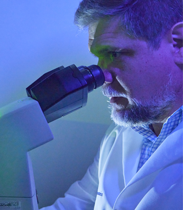 Dr. Julio Aguirre-Ghiso looks through microscope as part of research.