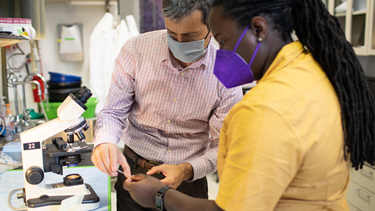 Two medical professionals engaging with state-of-the-art equipment.