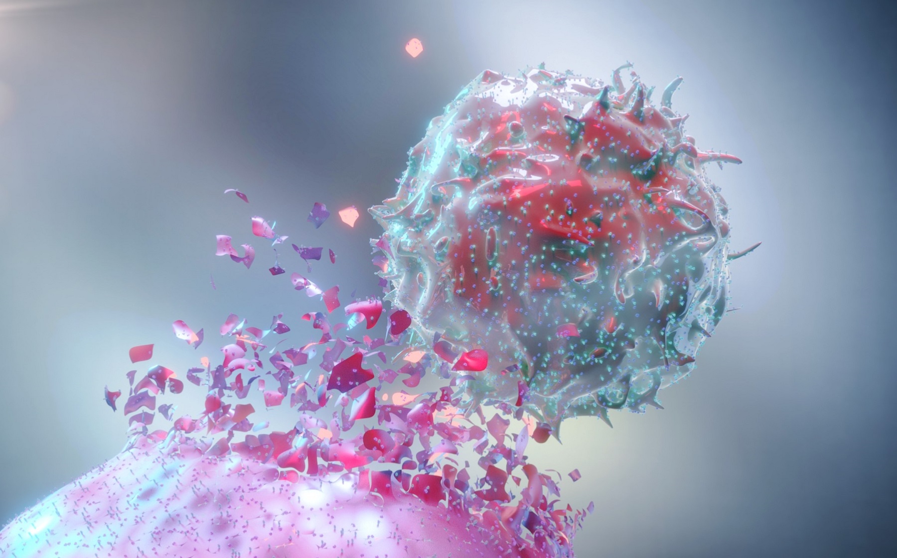 Visualization of cancer cells therapy