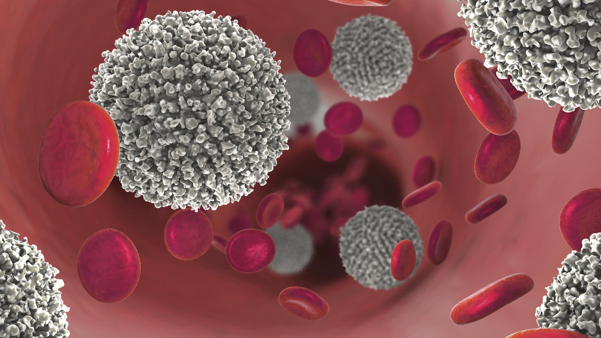 Visualization of Blood Cancer