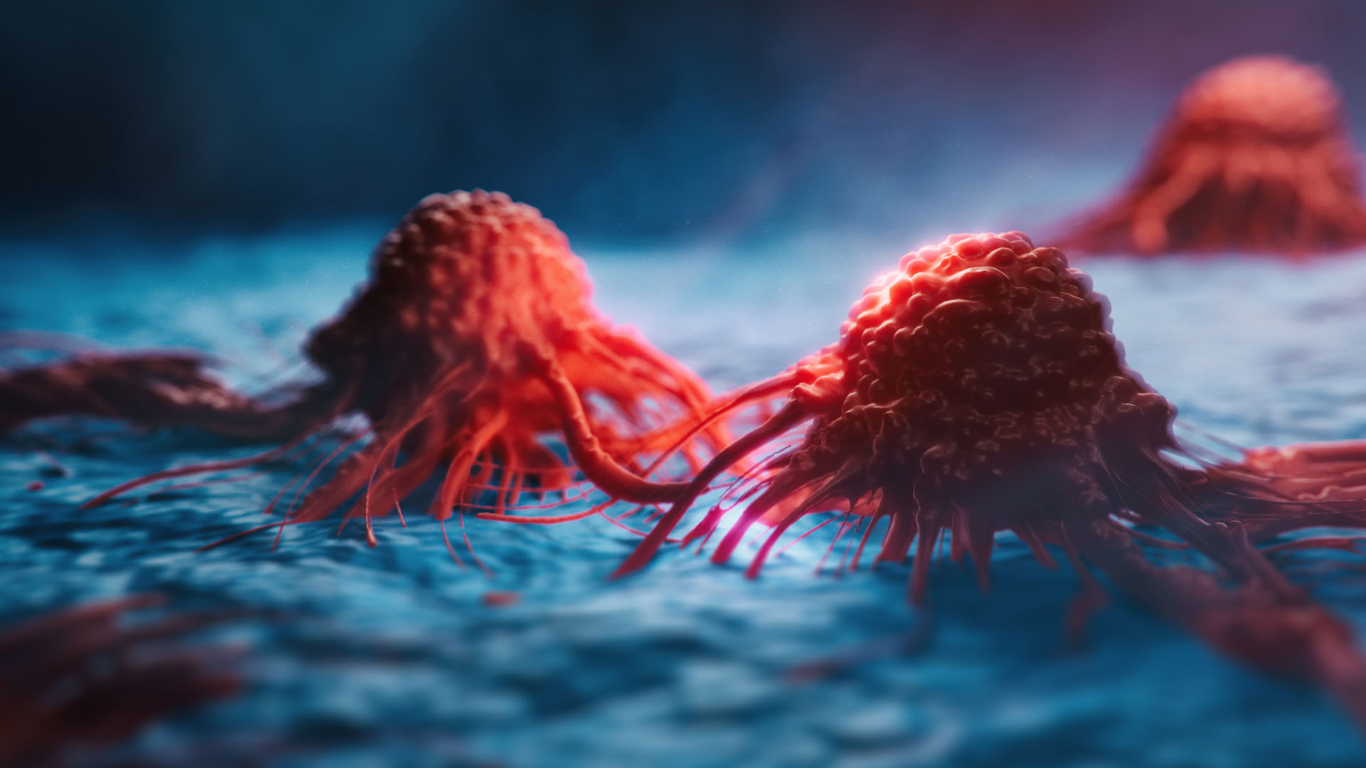 Identifying a Biomarker for Metastasis