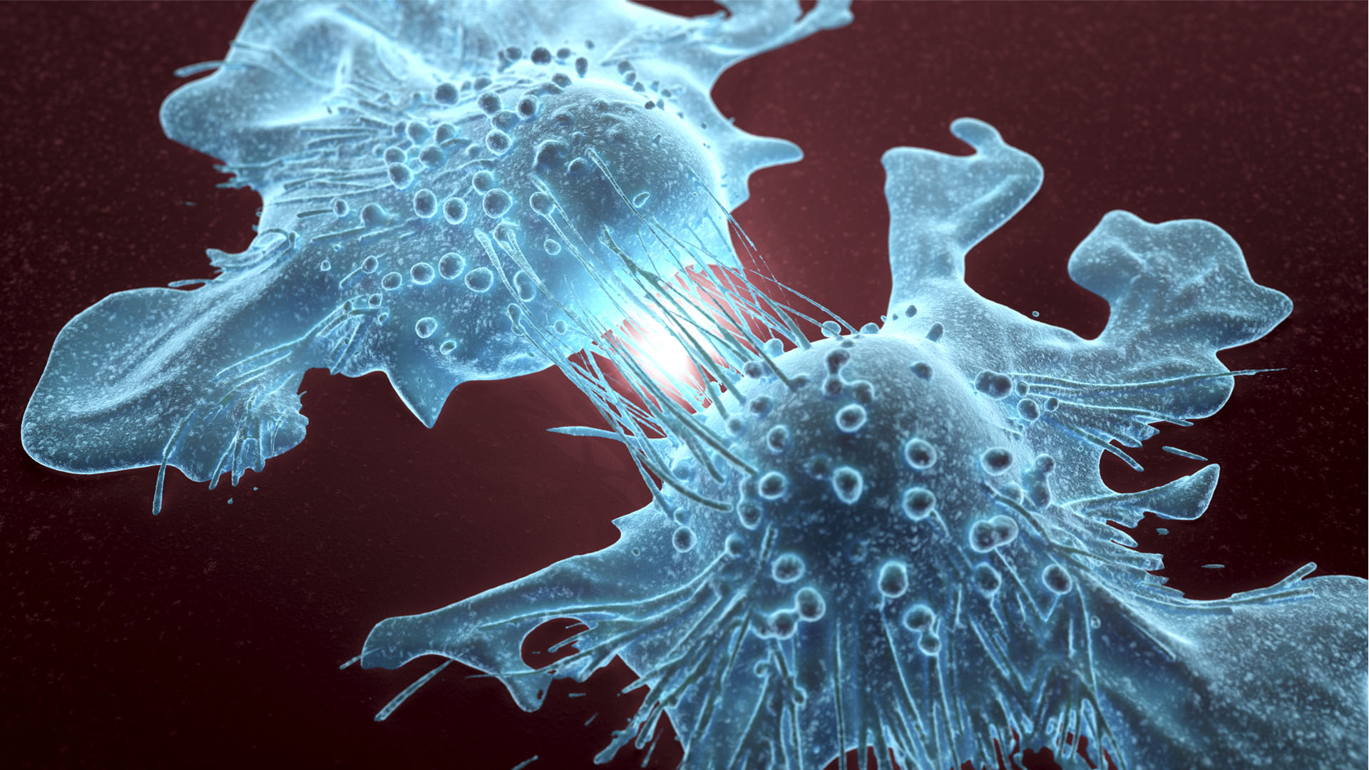 Hope for Eradicating Deadly but Dormant Cancer Cells