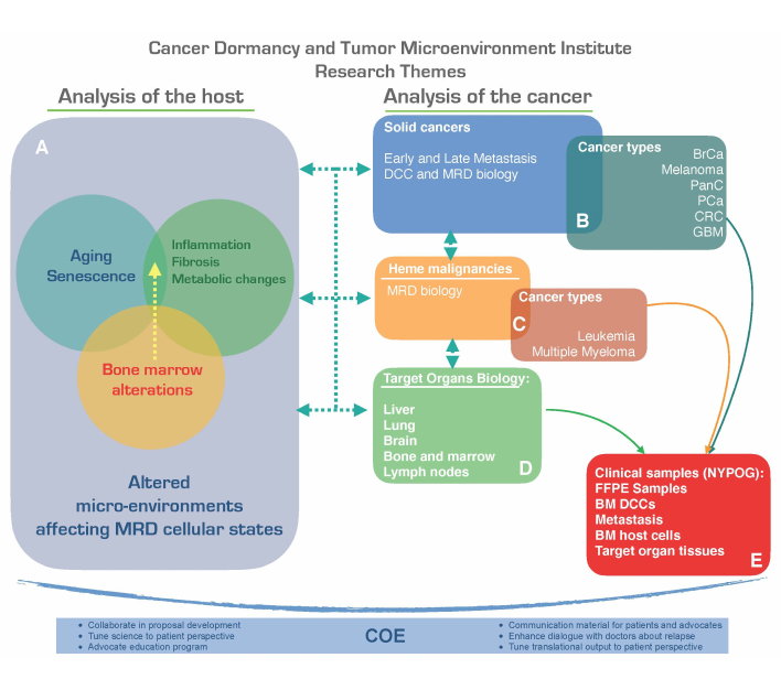 CDTMI Host and Cancer Analysis Diagram